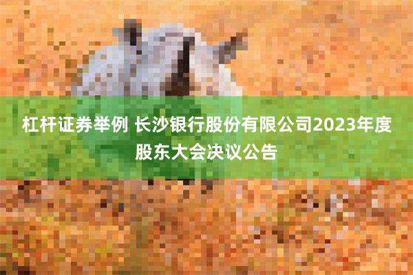 杠杆证券举例 长沙银行股份有限公司2023年度股东大会决议公告