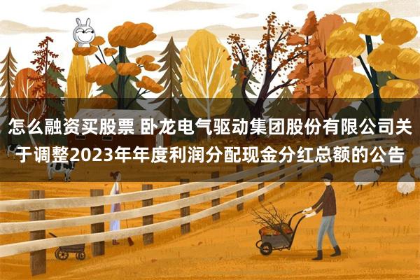 怎么融资买股票 卧龙电气驱动集团股份有限公司关于调整2023年年度利润分配现金分红总额的公告