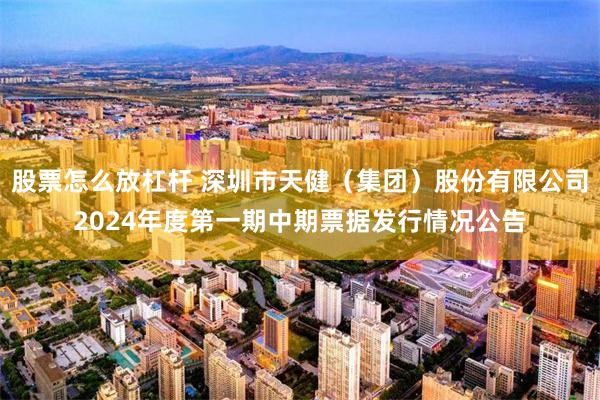 股票怎么放杠杆 深圳市天健（集团）股份有限公司2024年度第一期中期票据发行情况公告