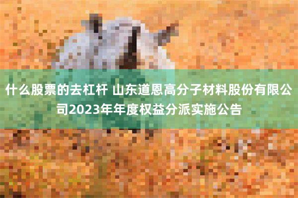 什么股票的去杠杆 山东道恩高分子材料股份有限公司2023年年度权益分派实施公告