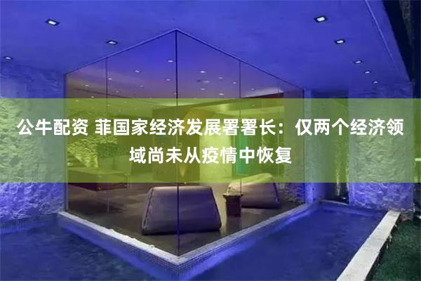 公牛配资 菲国家经济发展署署长：仅两个经济领域尚未从疫情中恢复