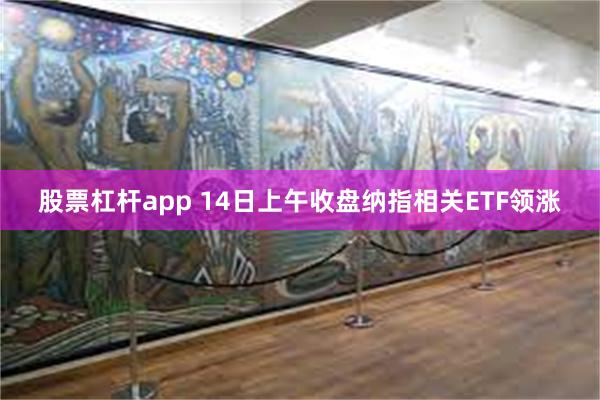 股票杠杆app 14日上午收盘纳指相关ETF领涨