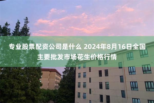 专业股票配资公司是什么 2024年8月16日全国主要批发市场花生价格行情