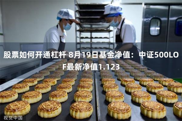 股票如何开通杠杆 8月19日基金净值：中证500LOF最新净值1.123