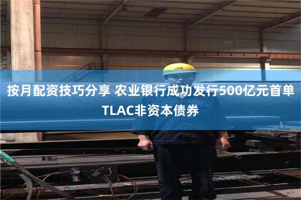 按月配资技巧分享 农业银行成功发行500亿元首单TLAC非资本债券