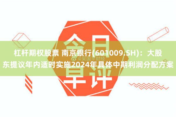 杠杆期权股票 南京银行(601009.SH)：大股东提议年内适时实施2024年具体中期利润分配方案