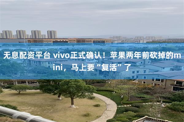 无息配资平台 vivo正式确认！苹果两年前砍掉的mini，马上要“复活”了