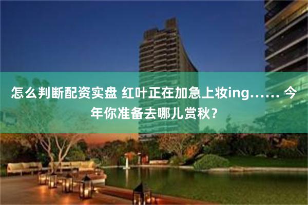 怎么判断配资实盘 红叶正在加急上妆ing…… 今年你准备去哪儿赏秋？