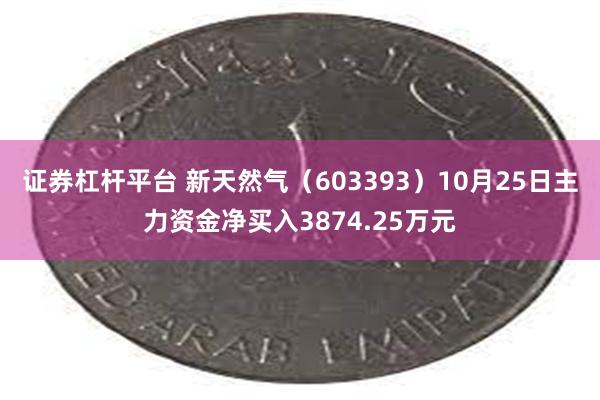 证券杠杆平台 新天然气（603393）10月25日主力资金净买入3874.25万元