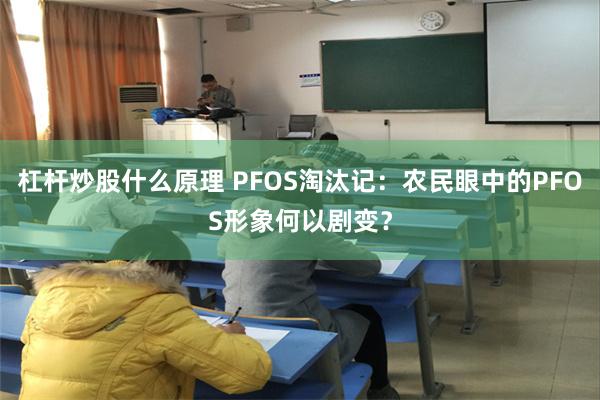 杠杆炒股什么原理 PFOS淘汰记：农民眼中的PFOS形象何以剧变？