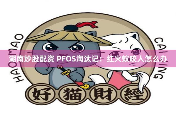 湖南炒股配资 PFOS淘汰记：红火蚁咬人怎么办