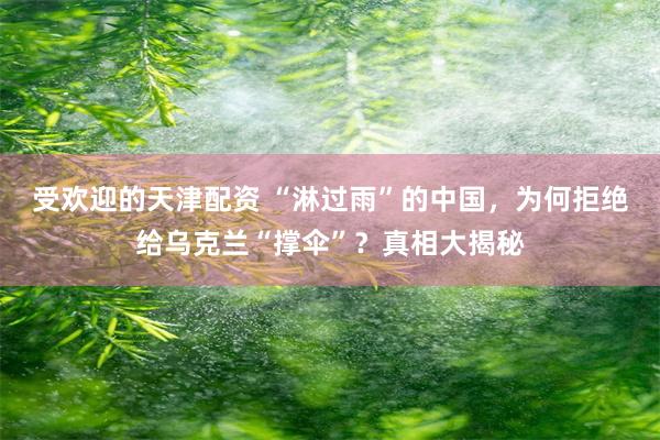 受欢迎的天津配资 “淋过雨”的中国，为何拒绝给乌克兰“撑伞”？真相大揭秘