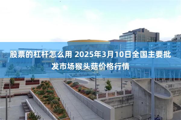 股票的杠杆怎么用 2025年3月10日全国主要批发市场猴头菇价格行情